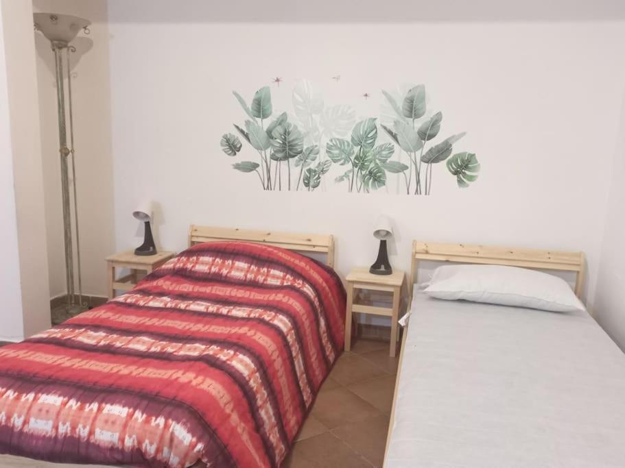 Apartment Openspace Con Free Parking *