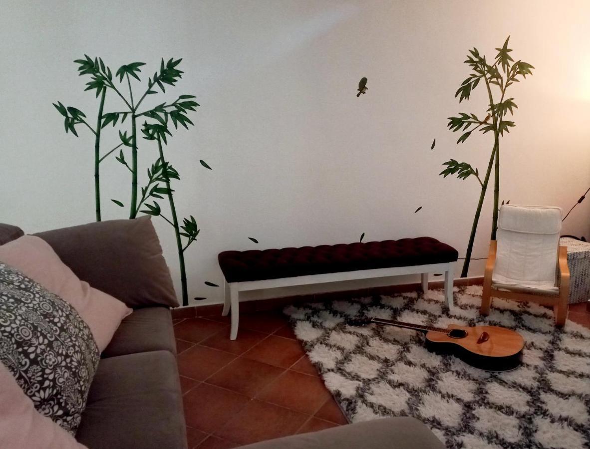 Openspace Con Free Parking Apartment *