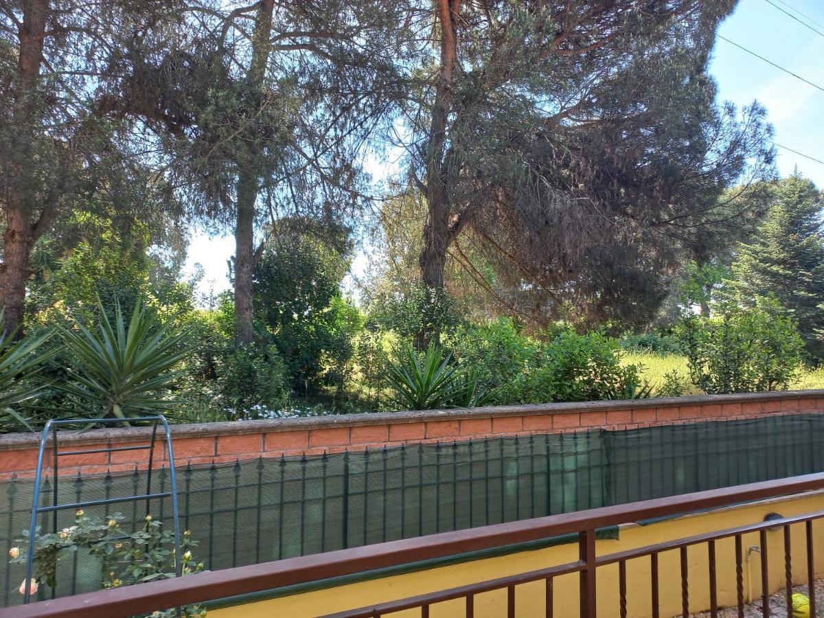 Openspace Con Free Parking Apartment *