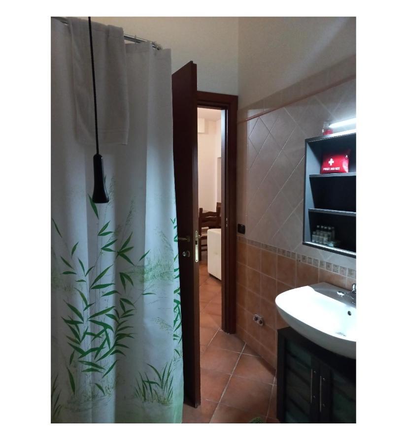 Apartment Openspace Con Free Parking *